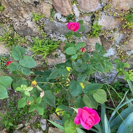 مبيت وإفطار Bergesserin Ferme Fleurie المظهر الخارجي الصورة