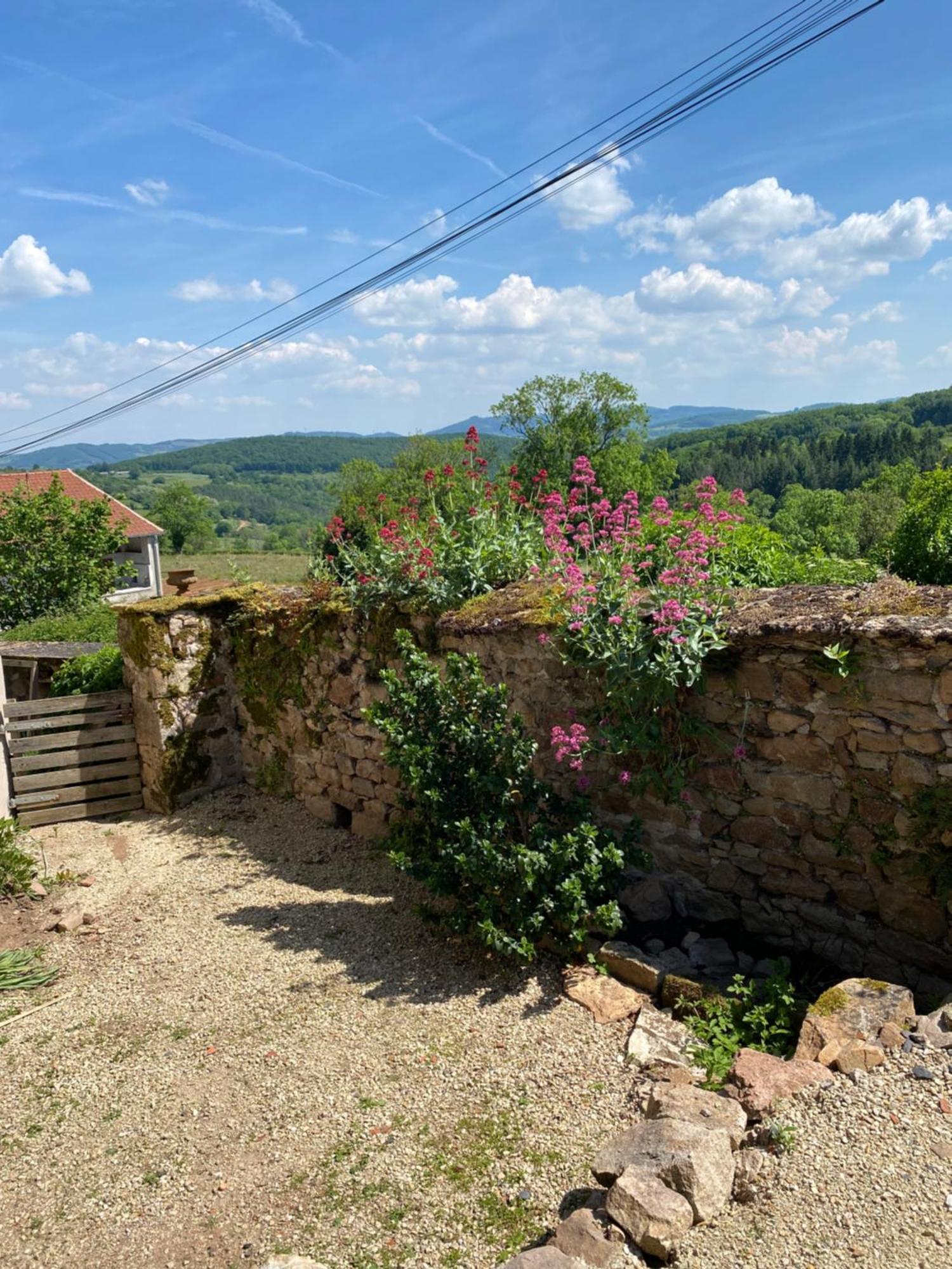 مبيت وإفطار Bergesserin Ferme Fleurie المظهر الخارجي الصورة