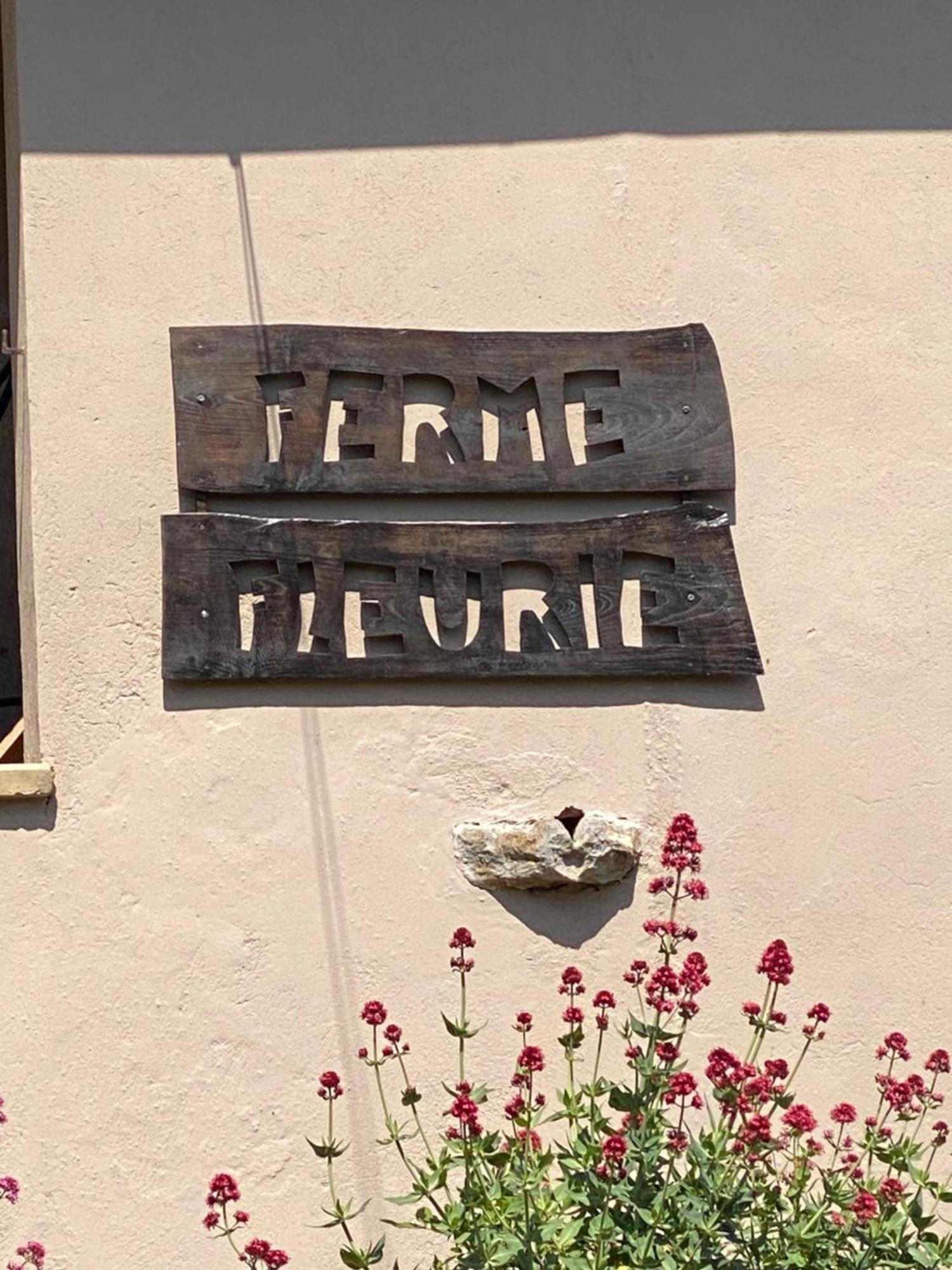 مبيت وإفطار Bergesserin Ferme Fleurie المظهر الخارجي الصورة