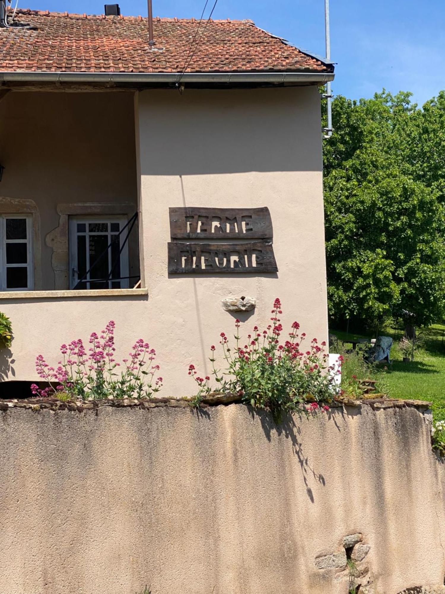 مبيت وإفطار Bergesserin Ferme Fleurie المظهر الخارجي الصورة