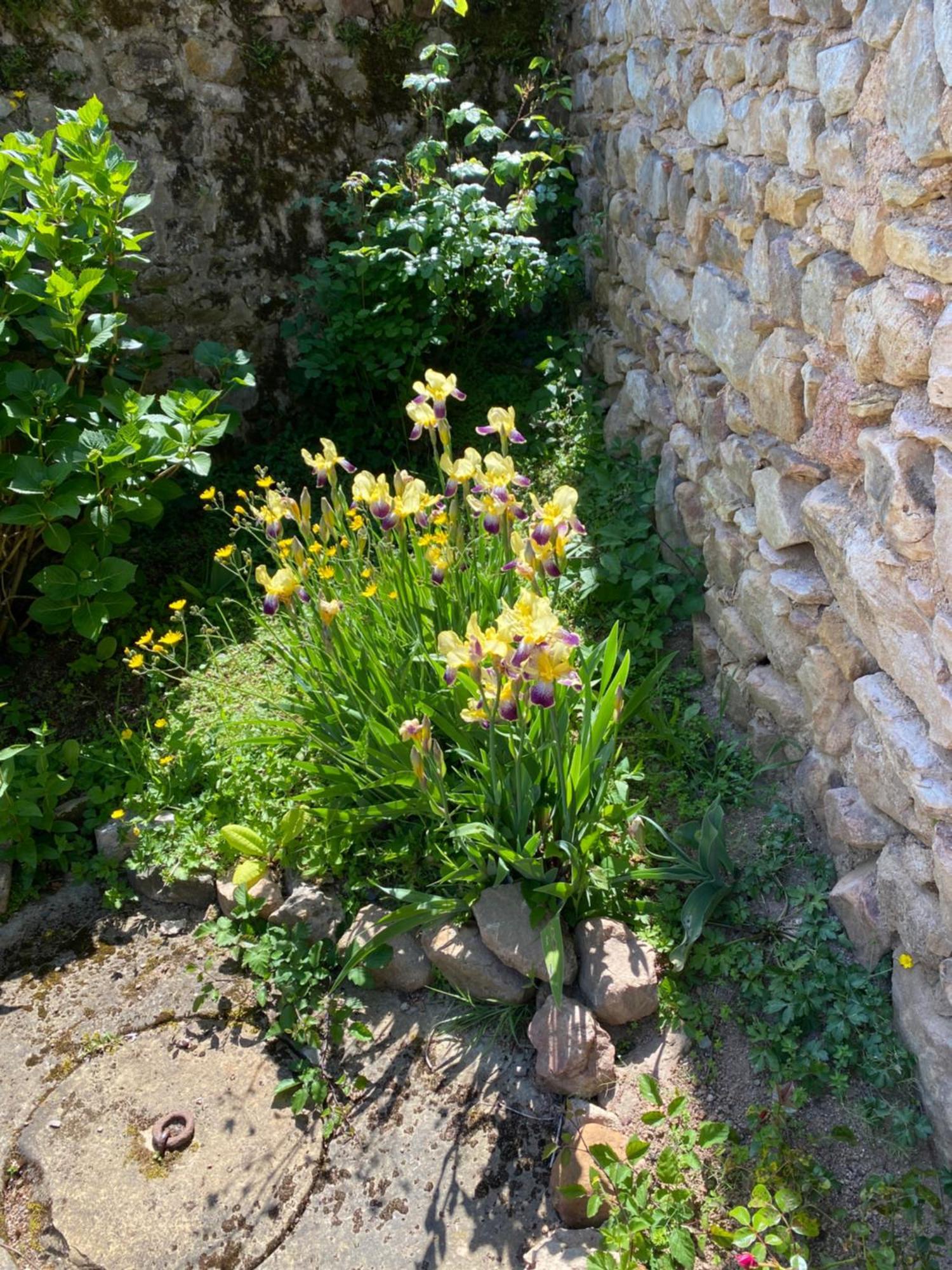 مبيت وإفطار Bergesserin Ferme Fleurie المظهر الخارجي الصورة